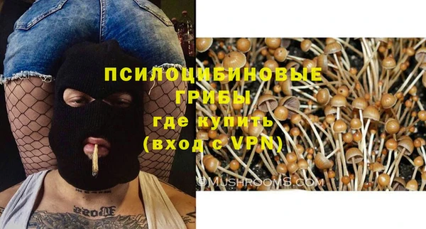 спайс Вяземский