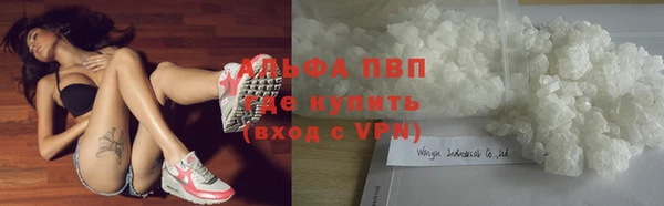 спайс Вяземский