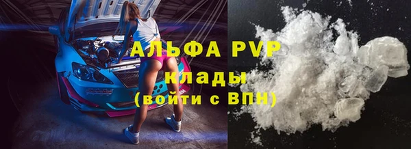 спайс Вяземский