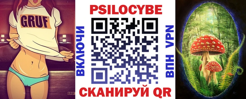 hydra как зайти Камень-на-Оби Псилоцибиновые грибы Cubensis наркотики